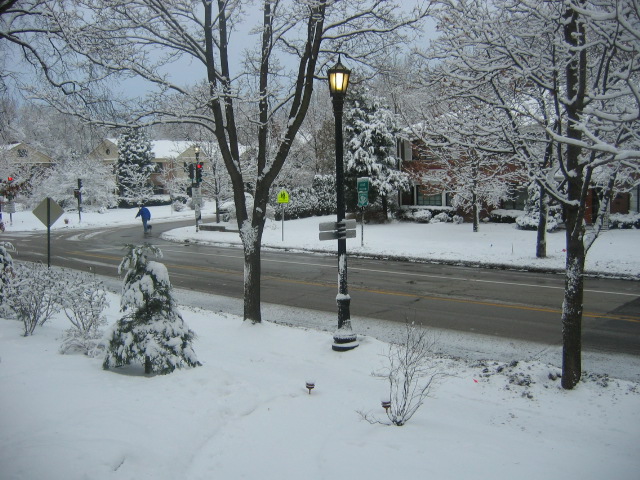 Evanston, IL: Sheridan Road on New Years Day 2008