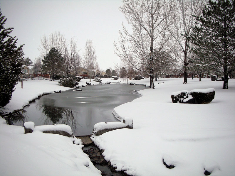 Minden Nevada