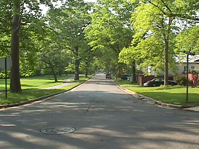Rahway, NJ : One of the MANY tree lined streets in Rahway