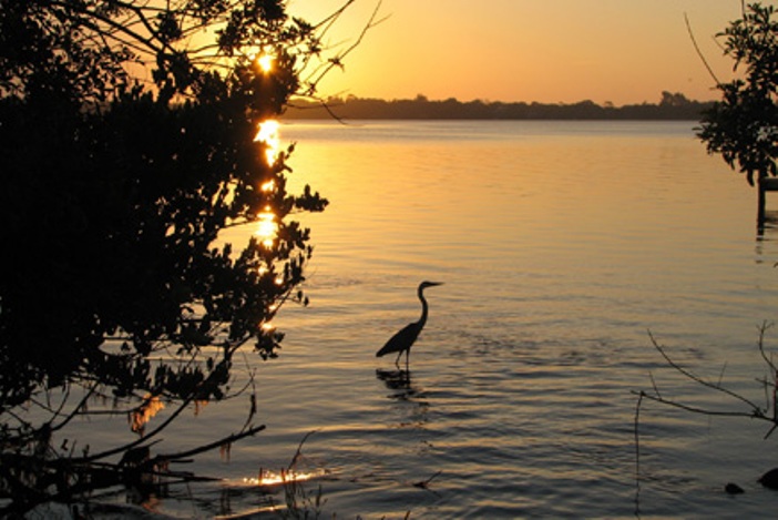 Rockledge, FL: Lagoon Sunrise