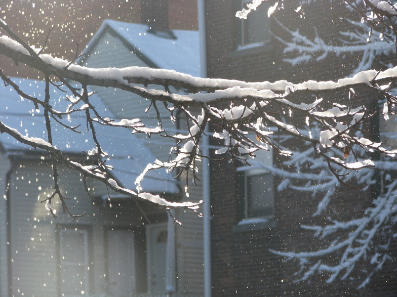 Willimantic, CT : After the snowfall