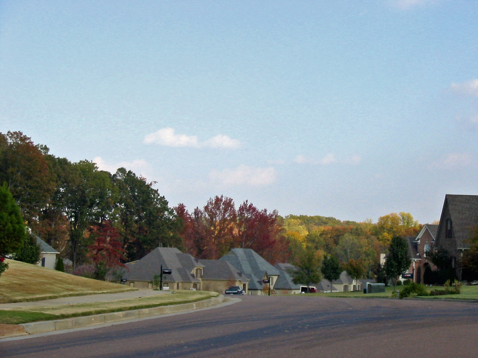 Lakeland, TN: autumn in Lakeland neighborhood