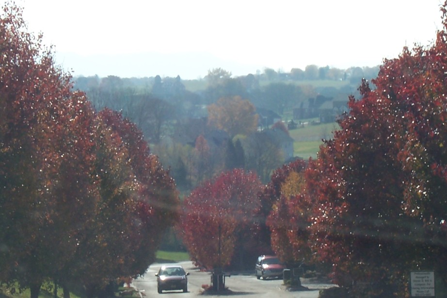Seymour, TN : Driving down Chapman Highway