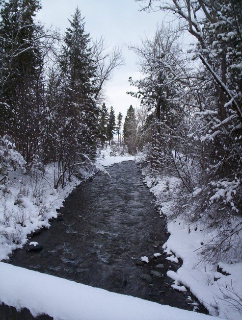 Joseph, OR : Winter Scene at Hurricane Creek