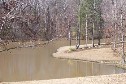 Clayton, NC : Neuse Colony pond