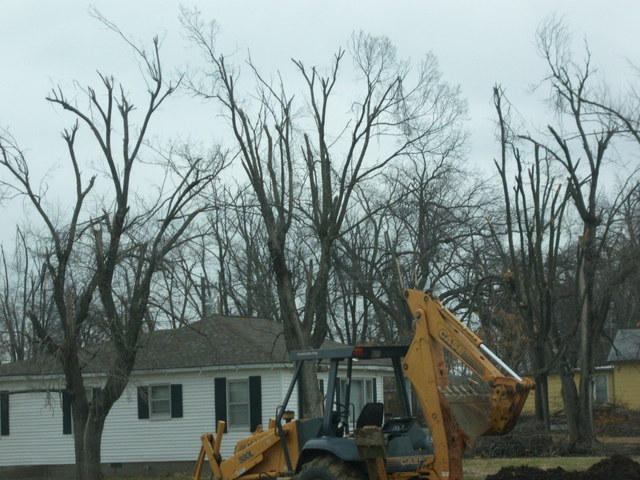 Lamar, MO : Ice Storm Damage in North Lamar