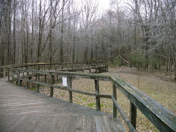 Jackson, TN: Cypress Grove Nature Park