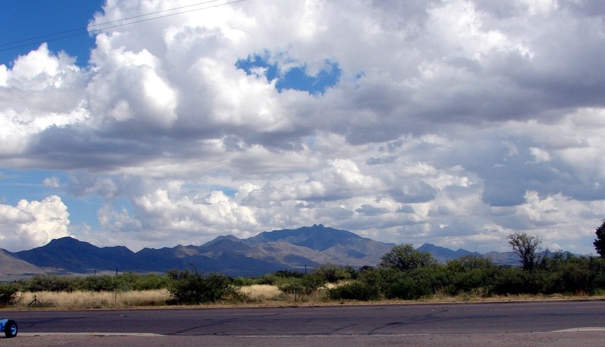Willcox, AZ : Chiracahua Mountains