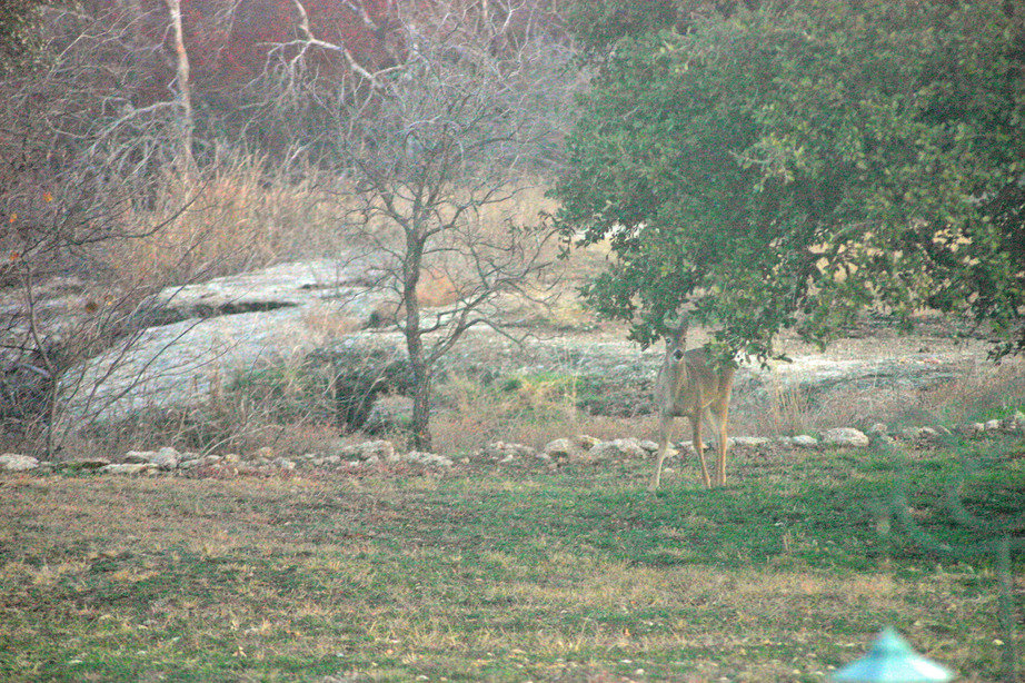 Aurora, TX : An Aurora back yard view from a home