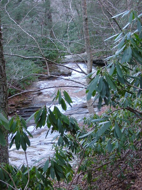 Beech Mountain, NC: West Pond Creek along the hiking trail