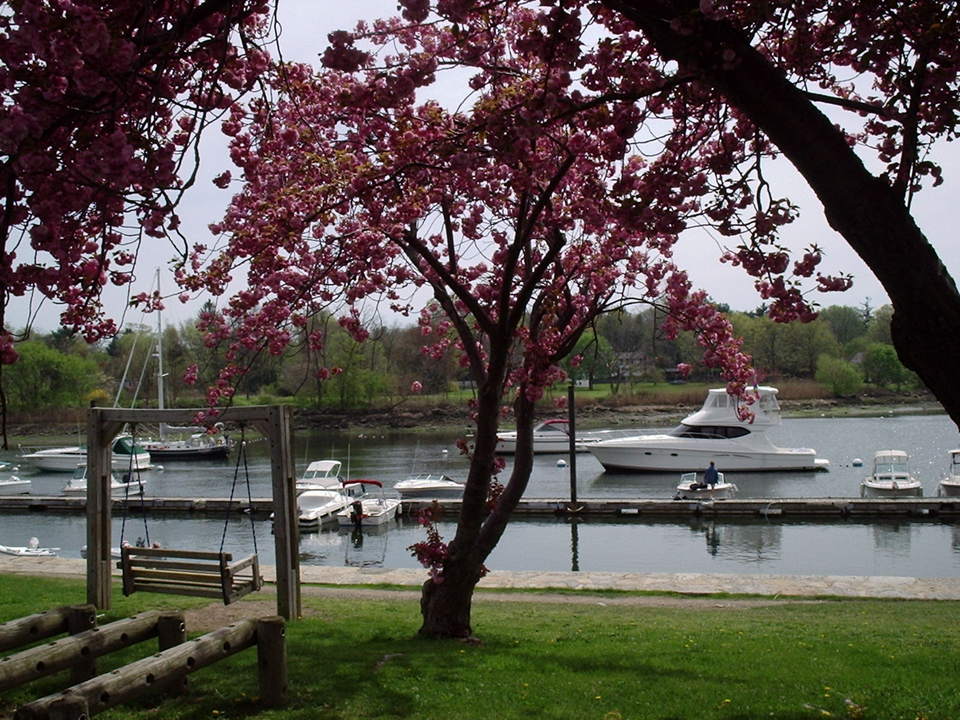 Mamaroneck, NY: Mamaroneck Harbor in the spring