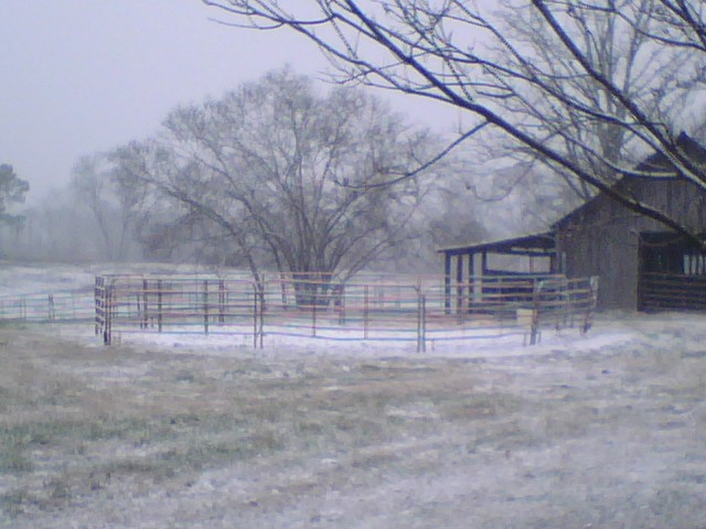 Pisgah, AL : Snowy day on the mountain