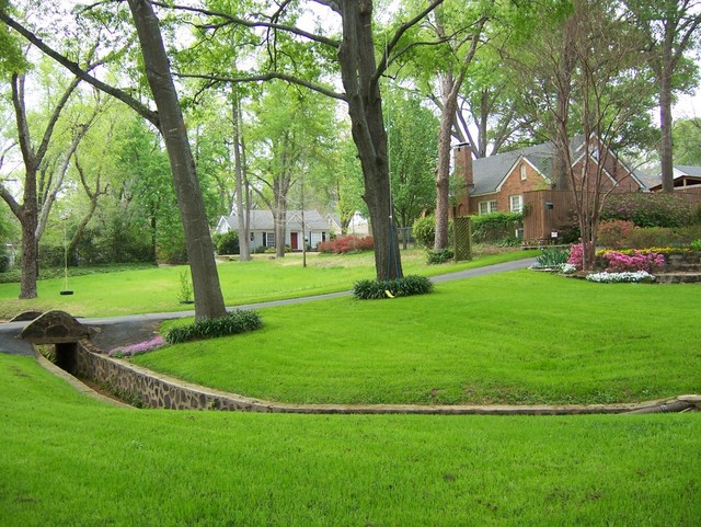 Tyler, TX : Front Yard in Tyler