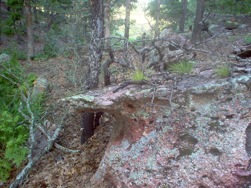 Boley, OK : Secret spot in Boley, OK