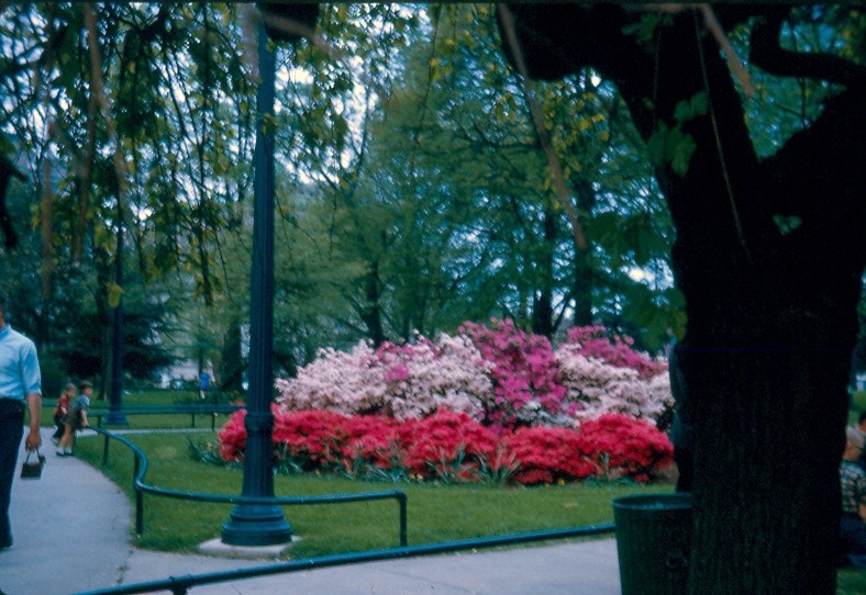 Columbia, SC : SC state capital building 1965