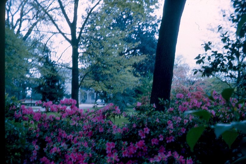 Columbia, SC : SC state capital building 1965