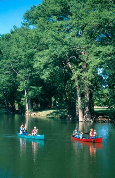 Kerrville, TX: Canoeing on the Guadalupe