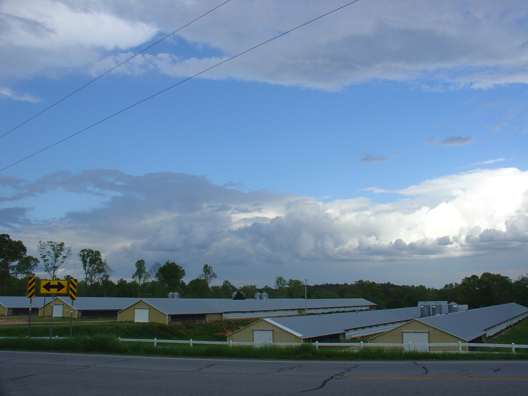 Bowdon, GA : Spring Sky off Georgia Highway 100 north of Bowdon @ Indian Creek Road 