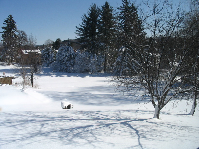 Jamestown, NY: Winter 2005