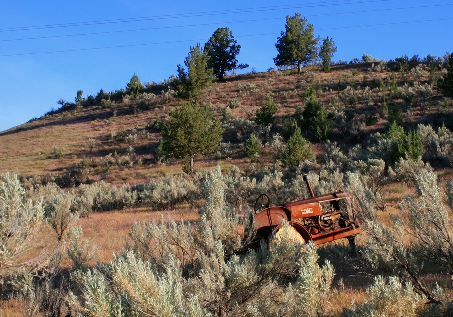 Mitchell, OR : Abandoned Tractor....
