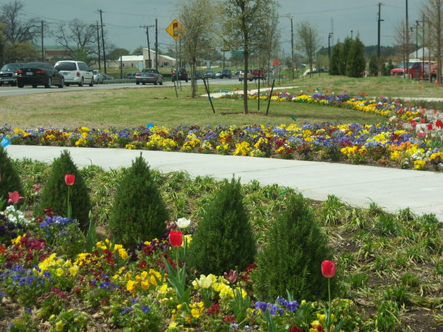 Highland Village, TX: Flowers @ The Shops at Highland Village