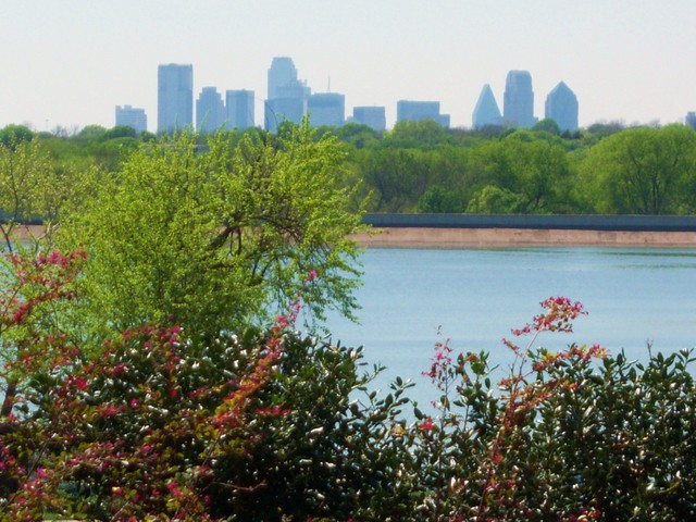 Dallas, TX: White Rock Lake and Dallas Skyline from The Arboretum