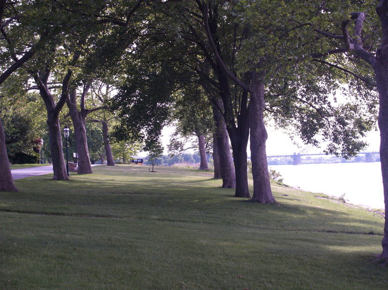 Riverton, NJ : Tree Line on Bank Ave