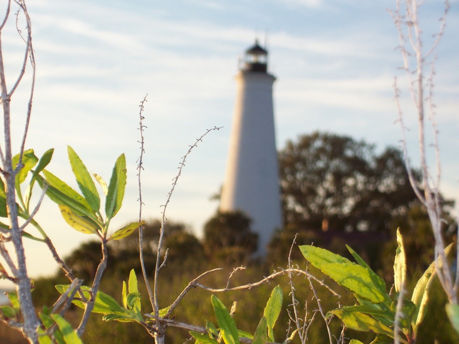 St. Marks, FL : Saint Marks light house in the background