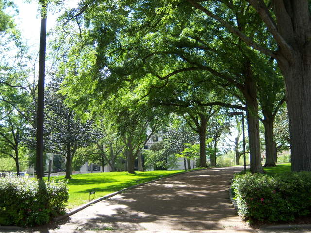 Jackson, MS: Mississippi Capitol Grounds