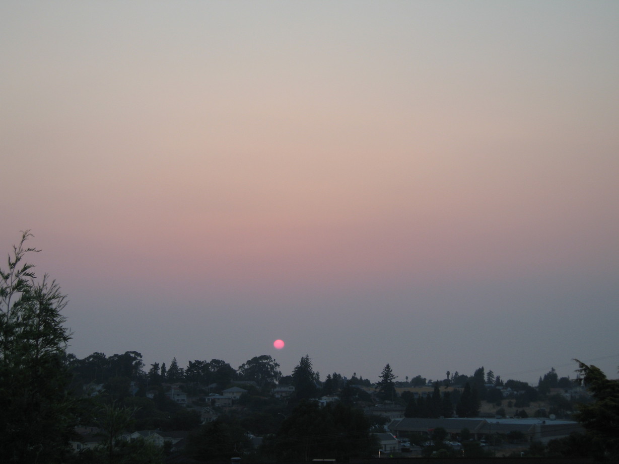 Rodeo, CA : Smokey sunset from the fires. The sun is so red!