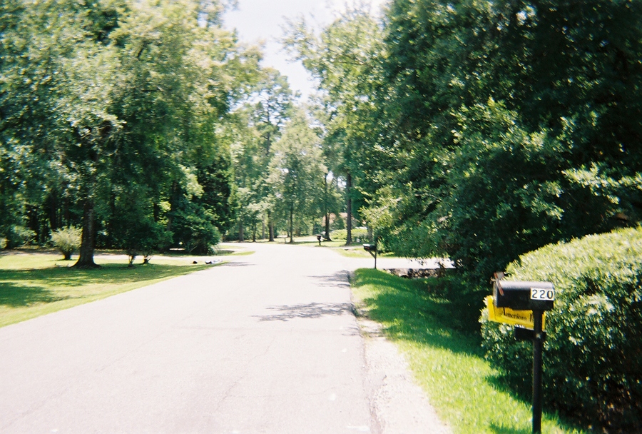 Moss Bluff, LA: Moss Bluff neighborhood