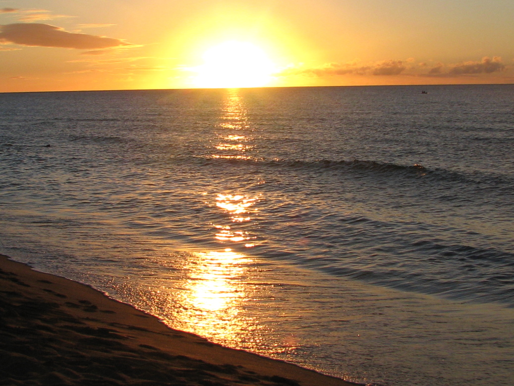 Haleiwa, HI : Ali'i Beach, Haleiwa Hawaii