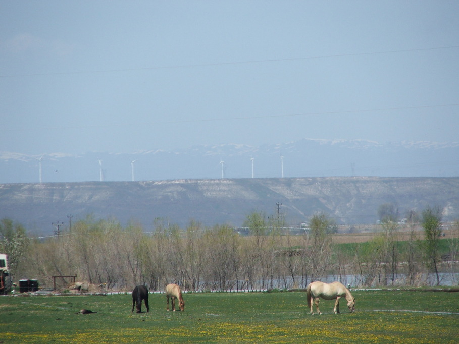 Hagerman, ID View of valley and windmills photo, picture, image
