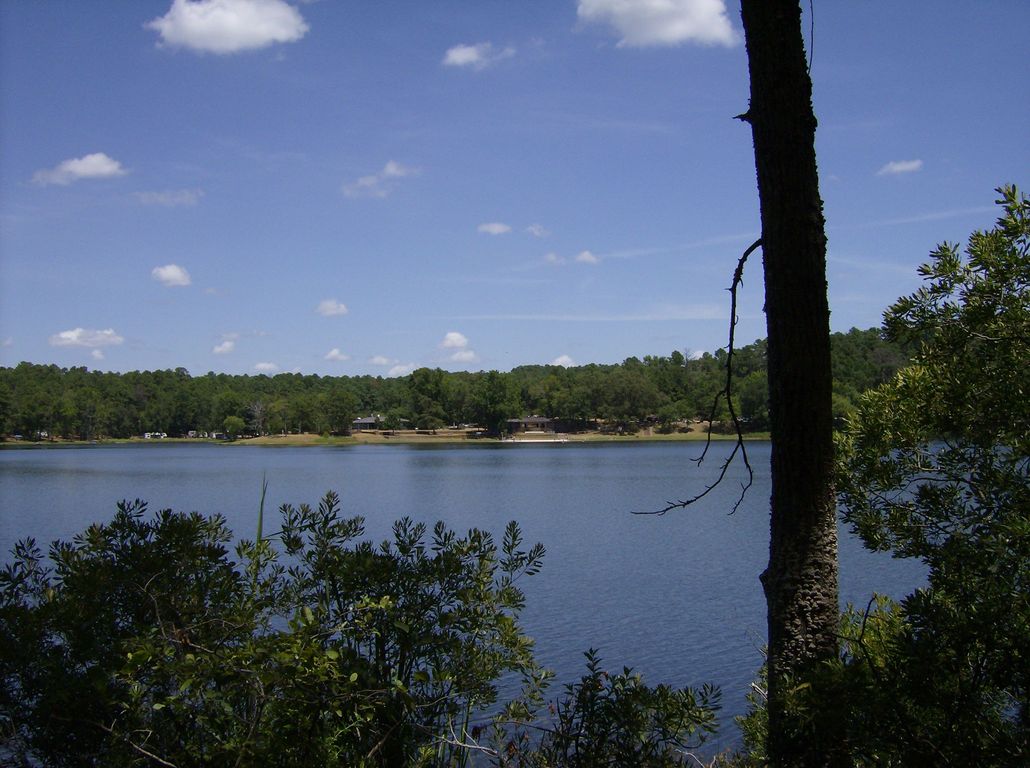 Tyler, TX Tyler State Park Lake photo, picture, image (Texas) at city
