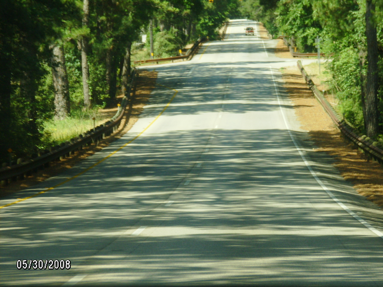 Bastrop, TX: Beautiful stretch of Lost Pines outside Bastrop