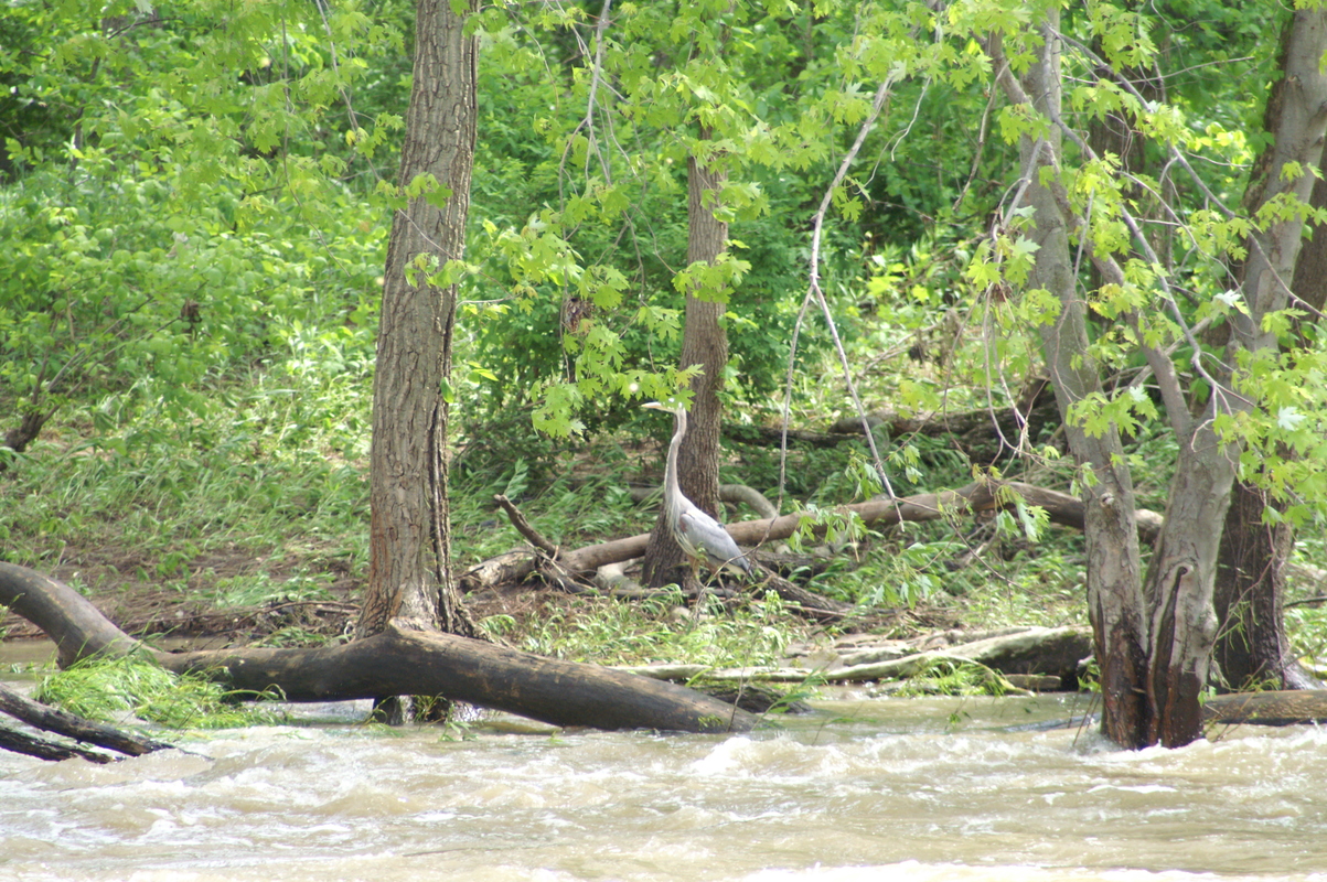 Logan, OH : Hocking River