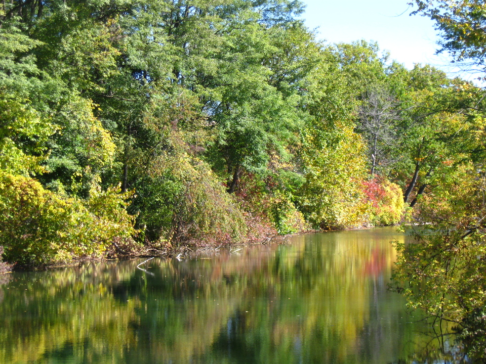 Oneonta, NY : Catella Park