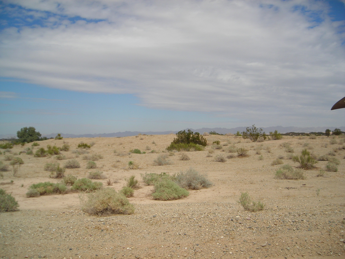 Brawley, CA Imperial Valley photo, picture, image (California) at