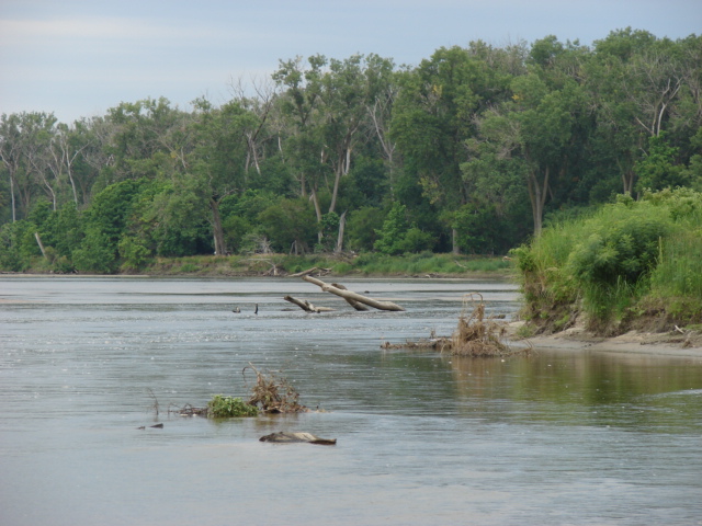 Louisville, NE : Platt River near Louisville