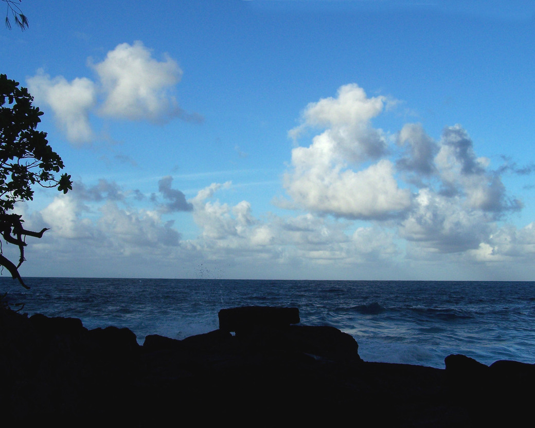 Keaau, HI Makuu Point in Paradise Park. photo, picture, image (Hawaii