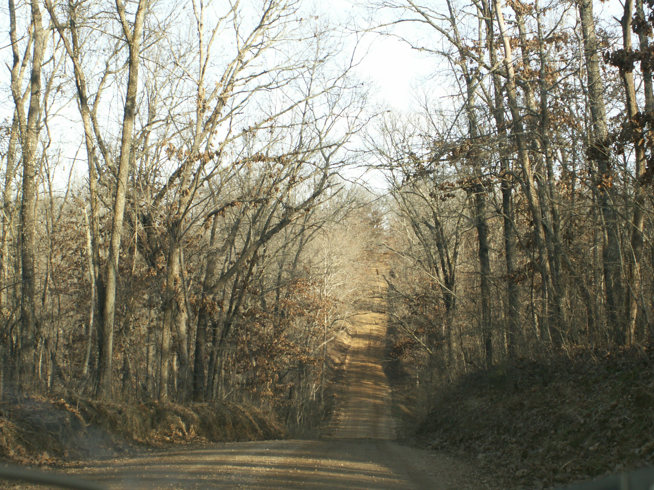 Salem, MO : Dent's Ford Road