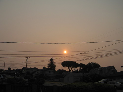 Rodeo, CA : Smokey sunrise during the California fires in the summer of 2008