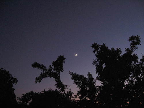 Rodeo, CA : Quarter moon as seen through my balcony