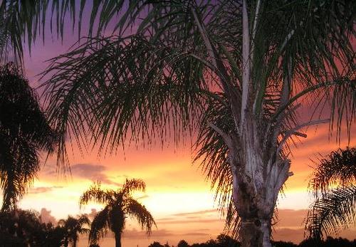 Englewood, FL : East Englewood Sunset