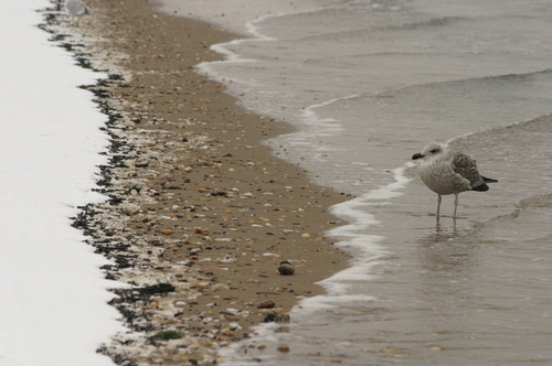 Keansburg, NJ : keansburg bay