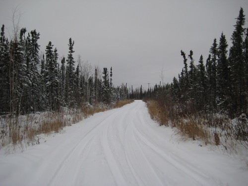 Nenana, AK : Nowitna Dr. Mile post 301 Nenana. October 2009