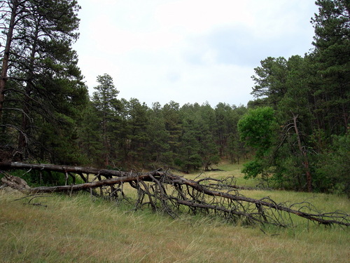 Chadron, NE : Chadron, NE