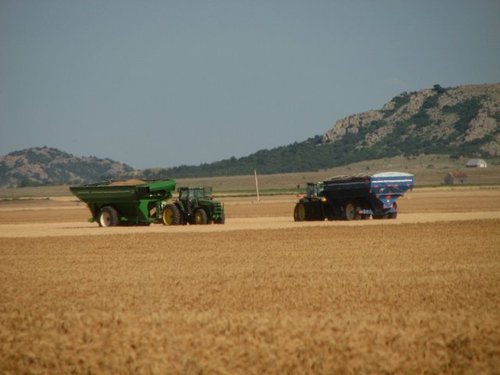 Hobart, OK : Wheat Harvest