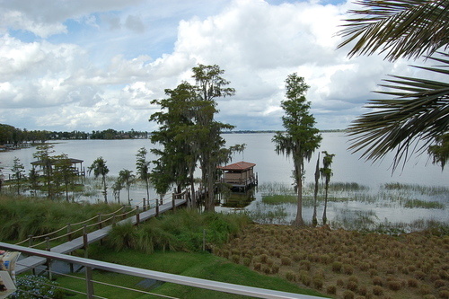 Windermere, FL: View from the Rear of Lake Butler Sound