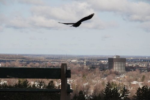 Watertown, NY : Thompson Park